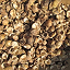 Areca Nut Husk