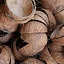 Coconut Shell