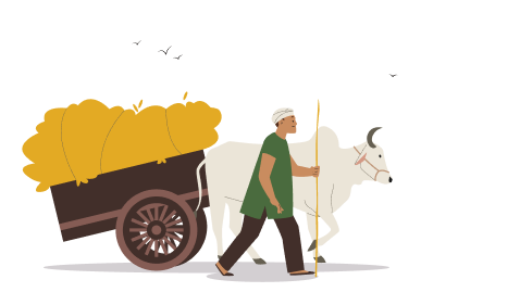 Bullock Cart