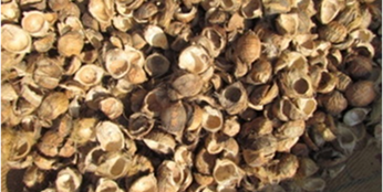 Waste Image